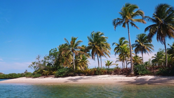 O melhor Beach Club de Ilhabela para você passar Dias incríveis. Sea