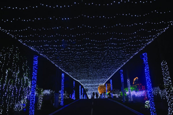 De carro ou a pé, onde ver as luzes de Natal em Curitiba - Bem Paraná