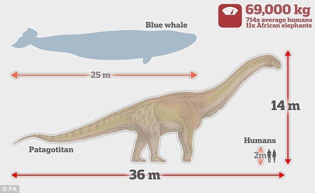 Identificada maior pata de dinossauro gigante 20 anos após ter sido  descoberta - Giz Brasil