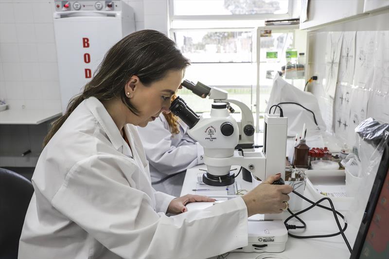 Curitiba erwirbt ein eigenes Labor zur Analyse von Mückenarten