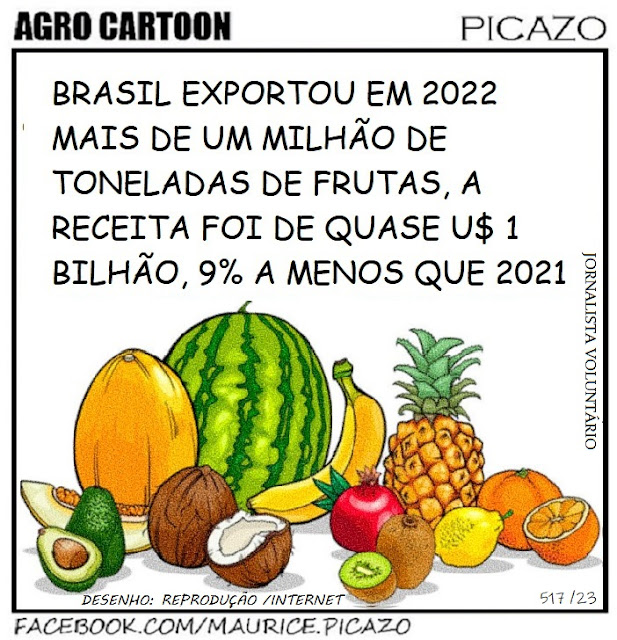 Brasil é o 3° maior produtor de frutas do mundo
