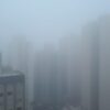 Nevoeiro, neblina ou cerração: fenômeno é comum nesta época
