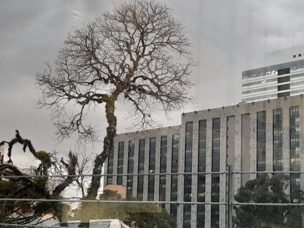 Quinta-feira chega ao Paraná com promessa de calor e tempo seco; em Curitiba céu encoberto. Veja quando chuva volta