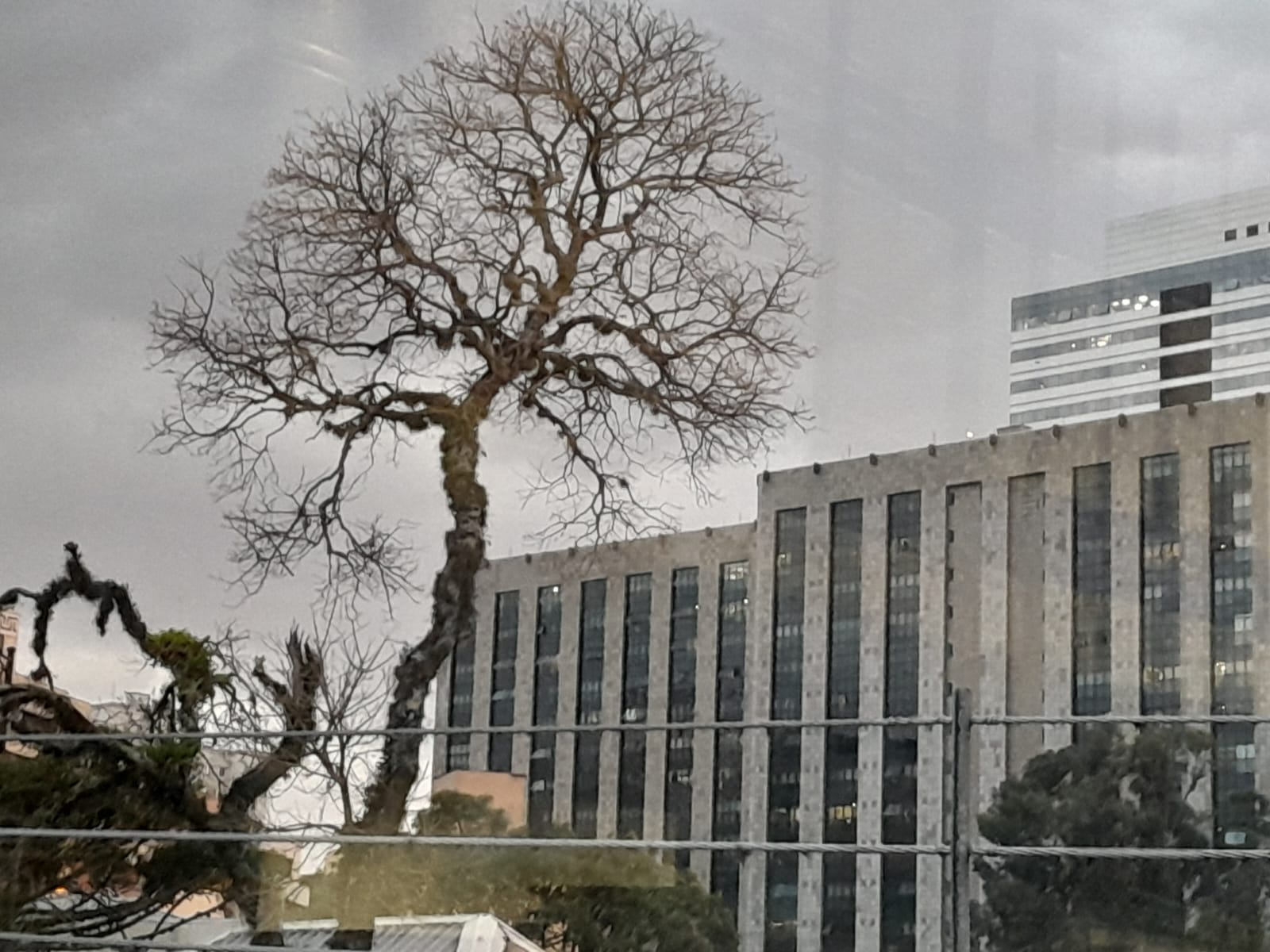 Quinta-feira chega ao Paraná com promessa de calor e tempo seco; em Curitiba céu encoberto. Veja quando chuva volta