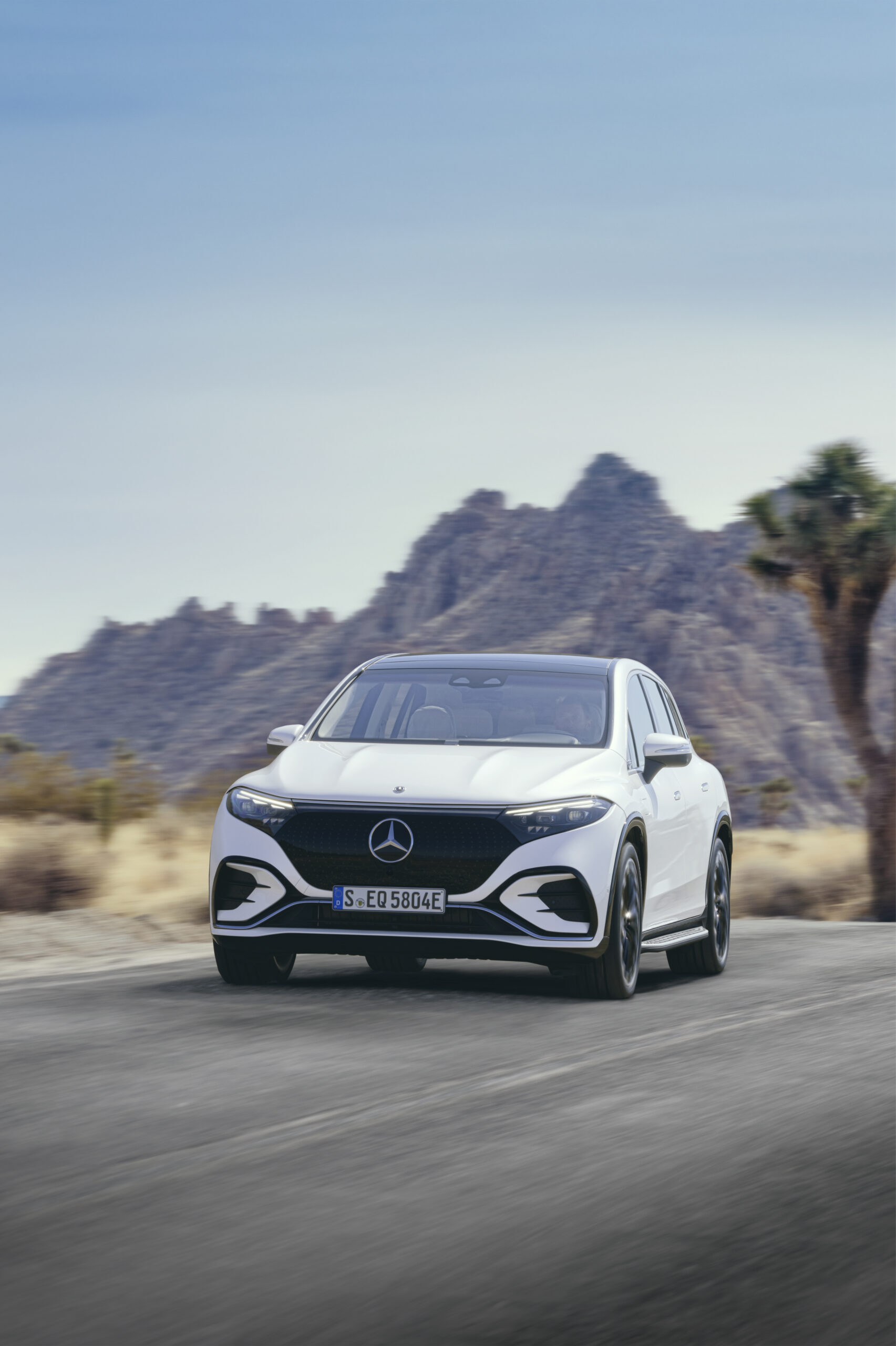 Mercedes-EQ. EQS SUV, X296, 2022