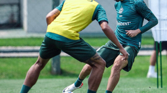 24coxa01