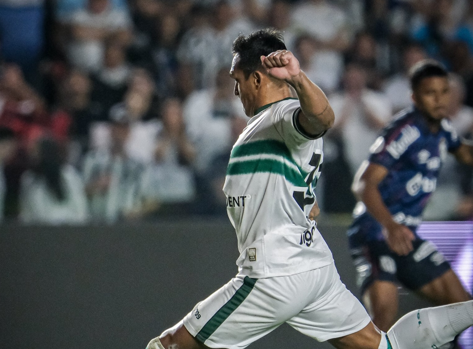 26coxa02