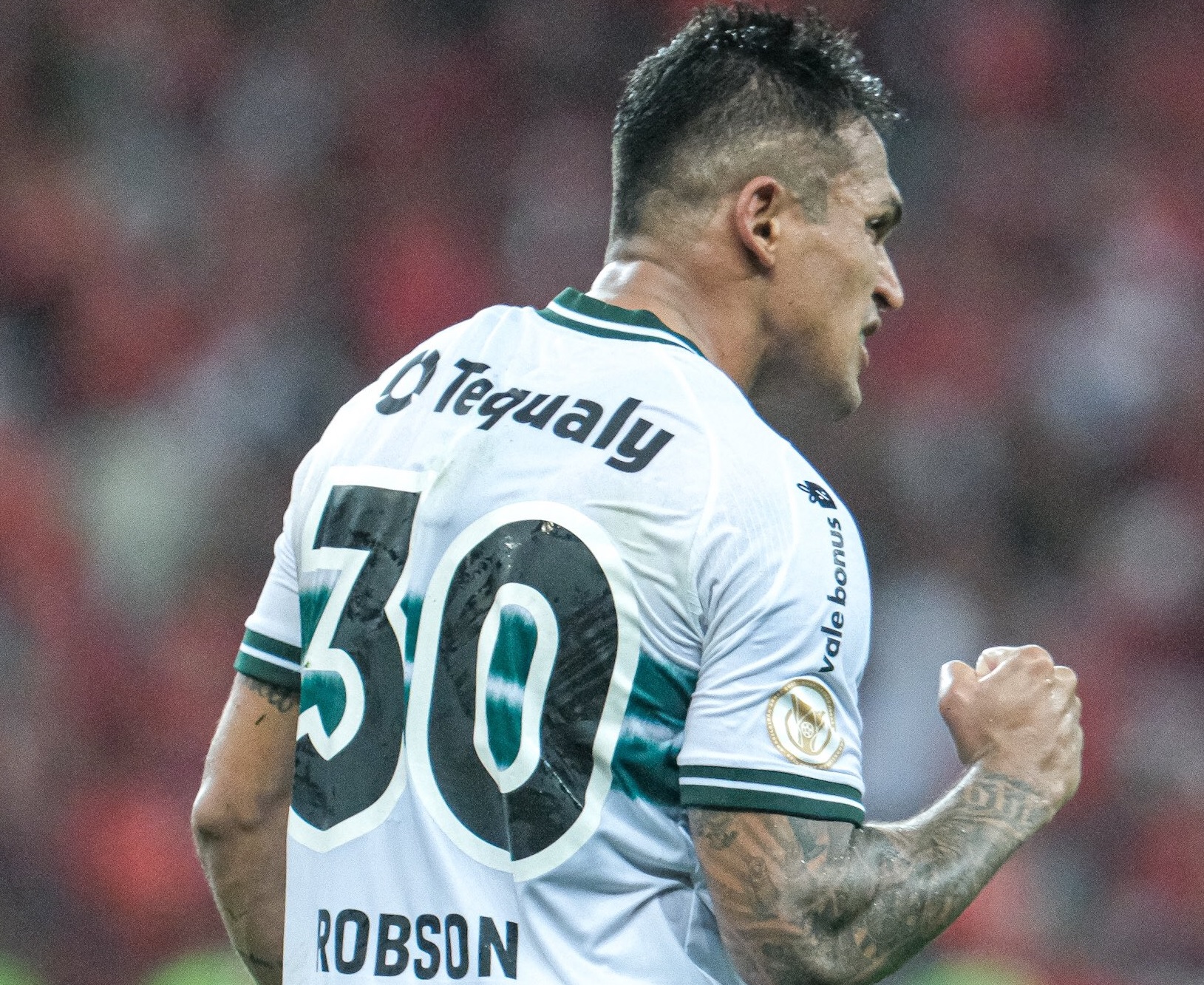 29robson