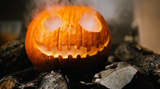 Créditos Pixabay – halloween-2905531_1920