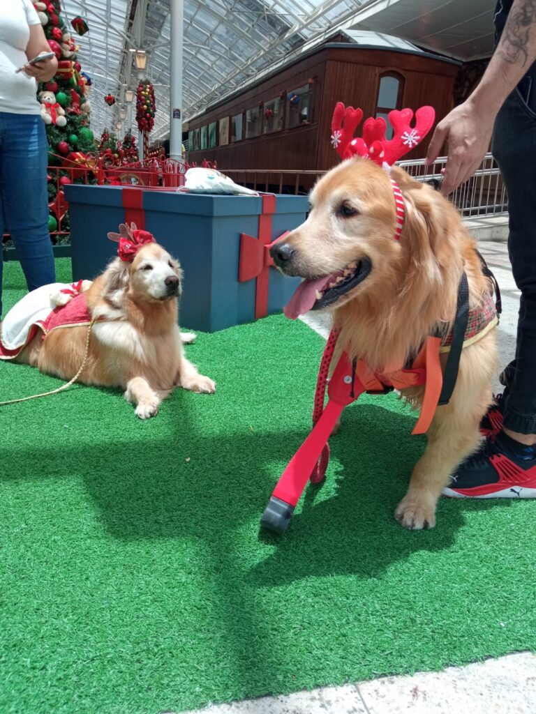 casal_natal