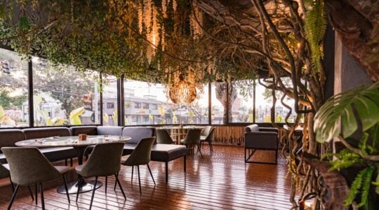 restaurante floresta tropical