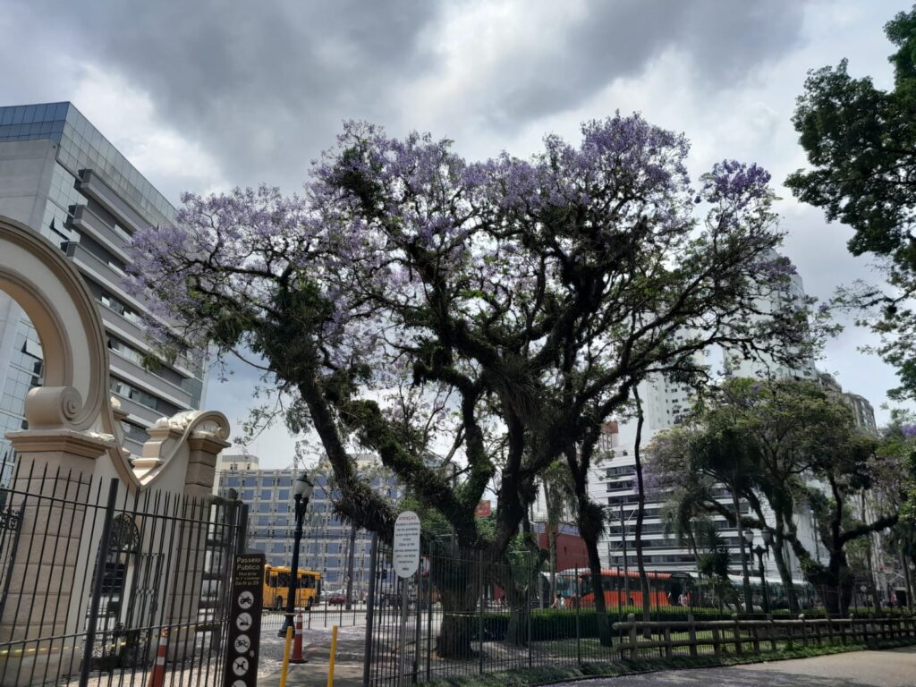 tempo fechado