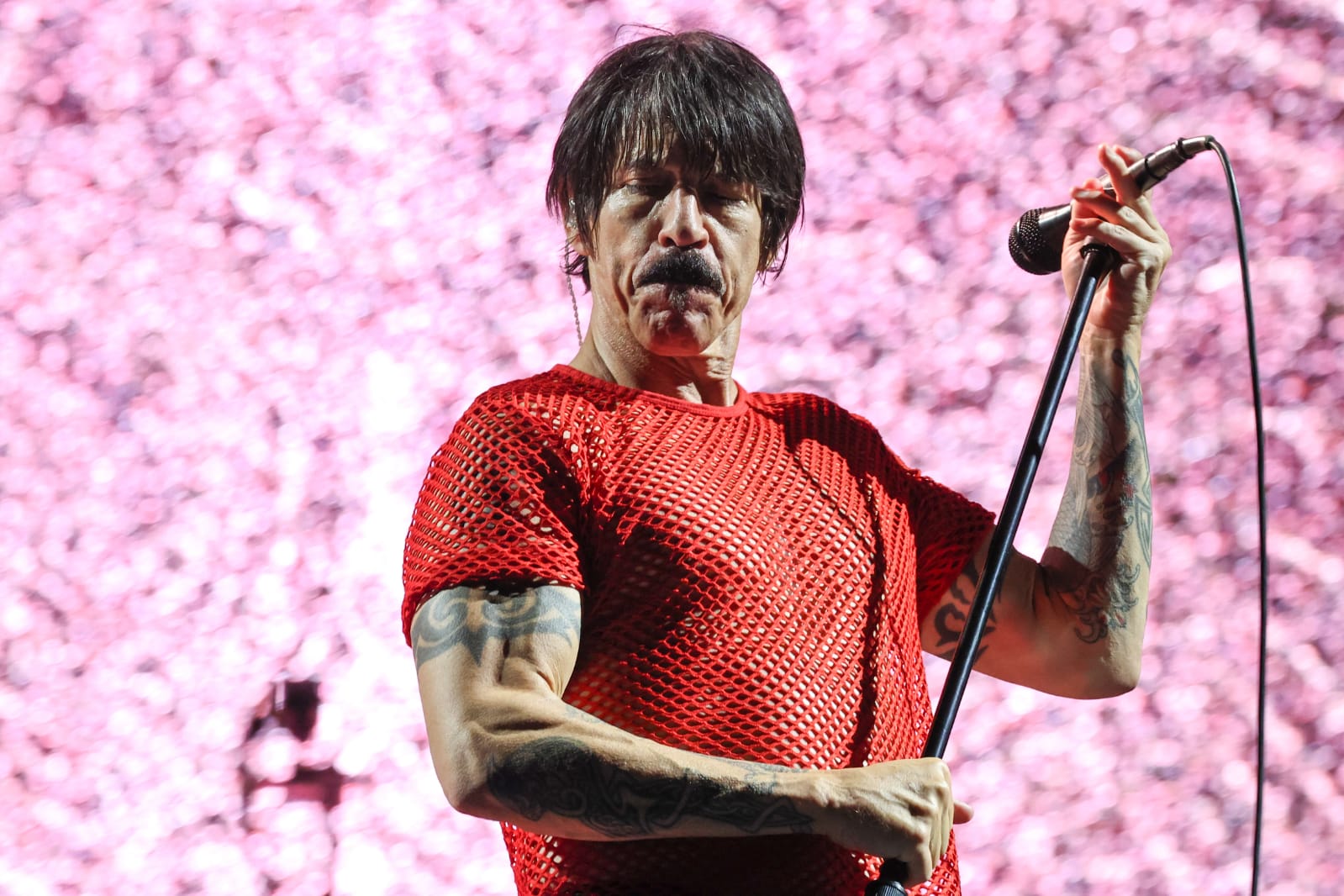 13rhcp08-1