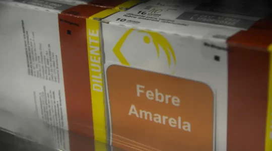 Febre amarela