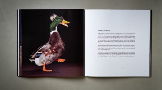 The Food Project Cook Book