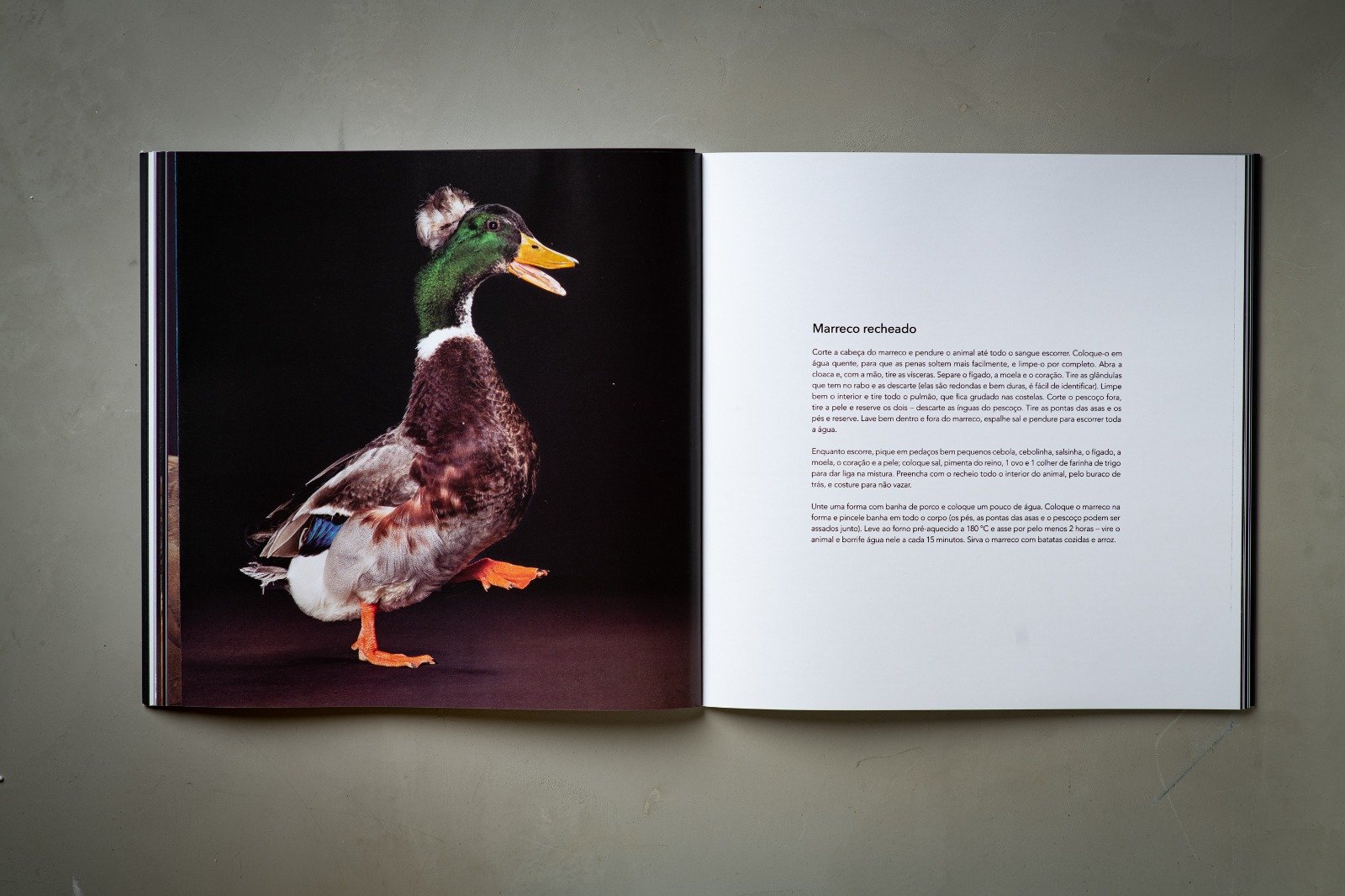 The Food Project Cook Book