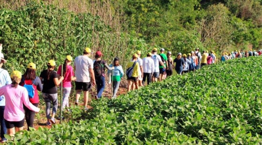 caminhada