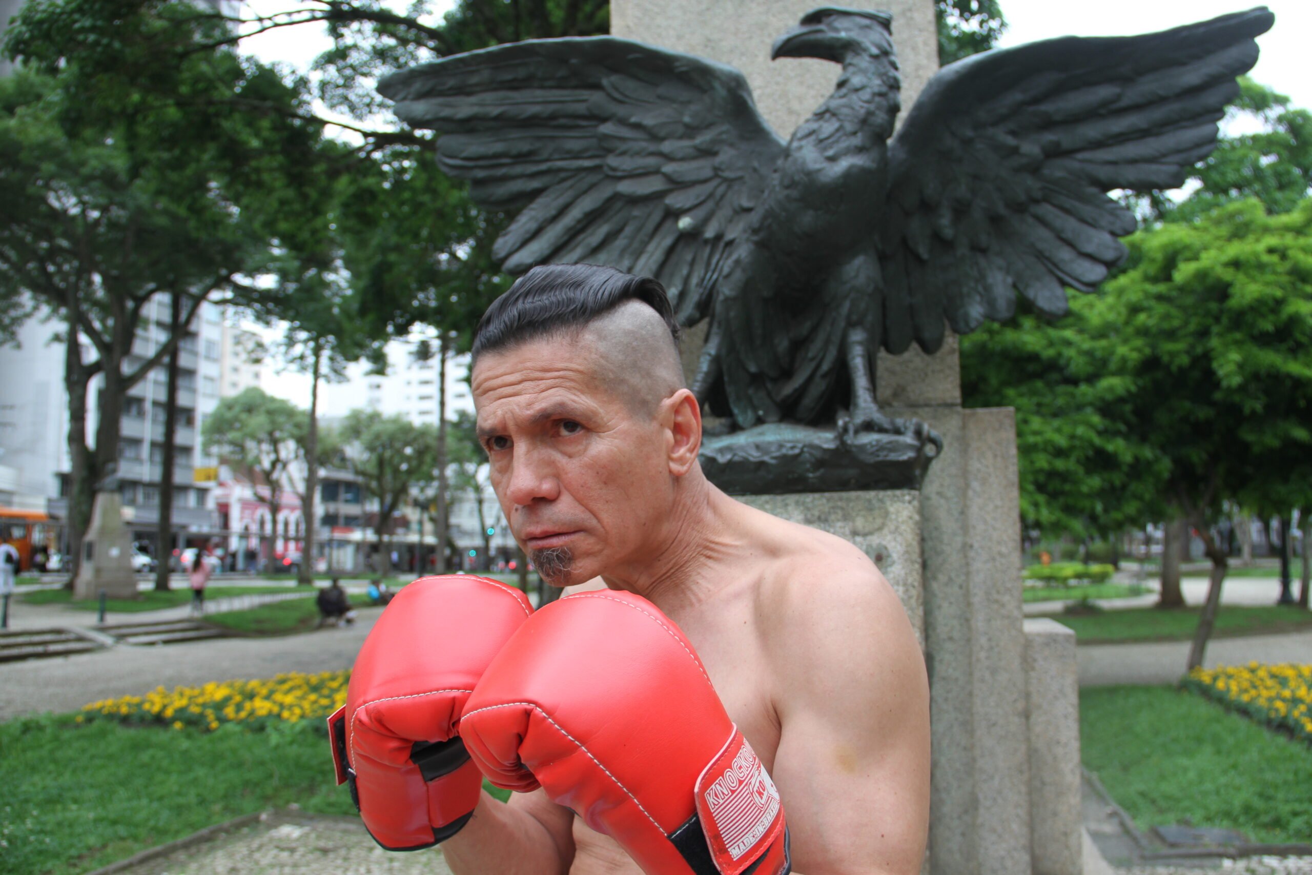 fenix o lutador