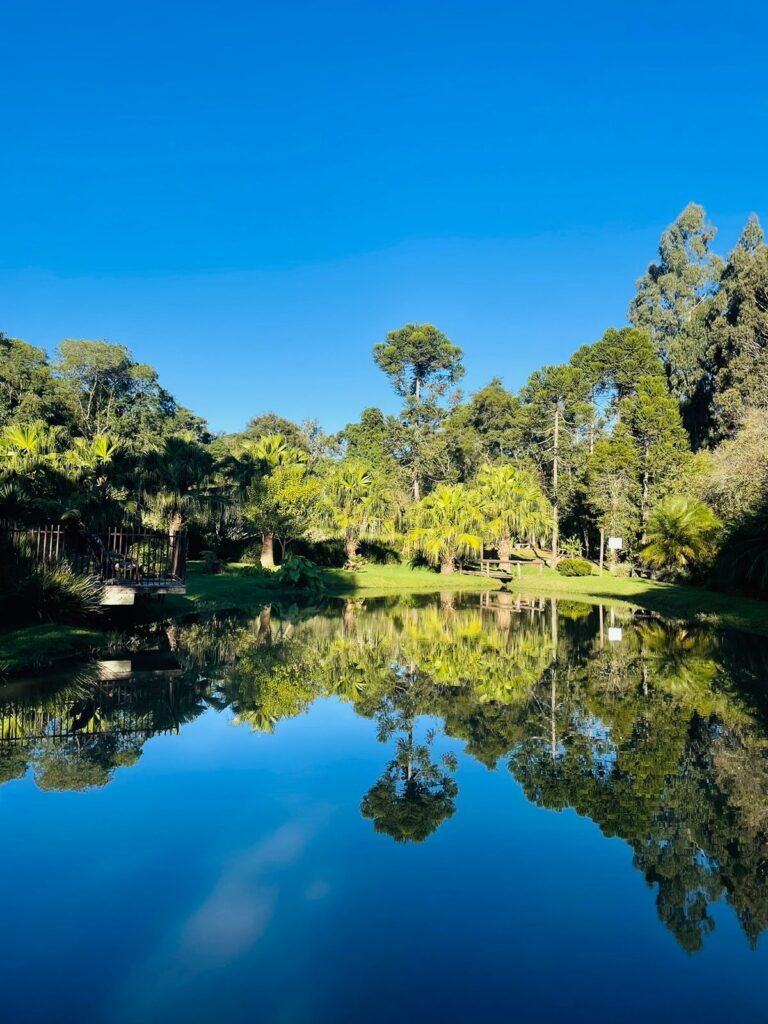 lago_pet_world