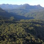 07/2019 – Serra do Mar. Foto: José Fernando Ogura/ANPr