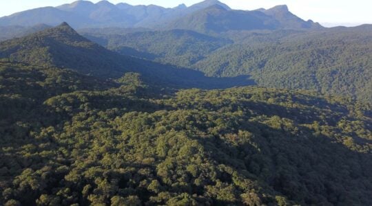 07/2019 – Serra do Mar. Foto: José Fernando Ogura/ANPr