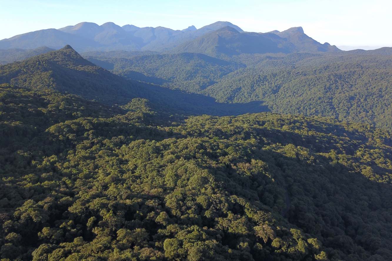 07/2019 – Serra do Mar. Foto: José Fernando Ogura/ANPr