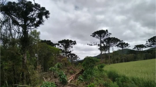 mataatlanciaempe28093