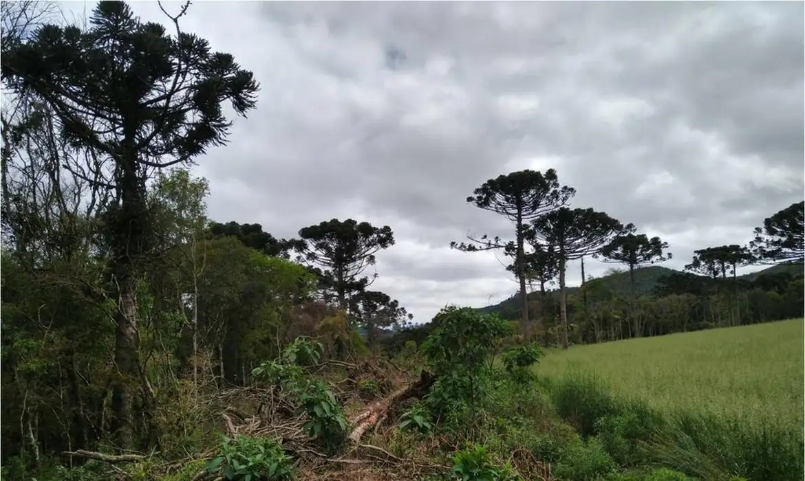 mataatlanciaempe28093