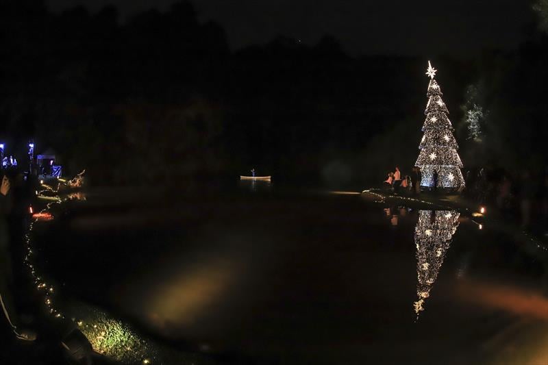 natal1