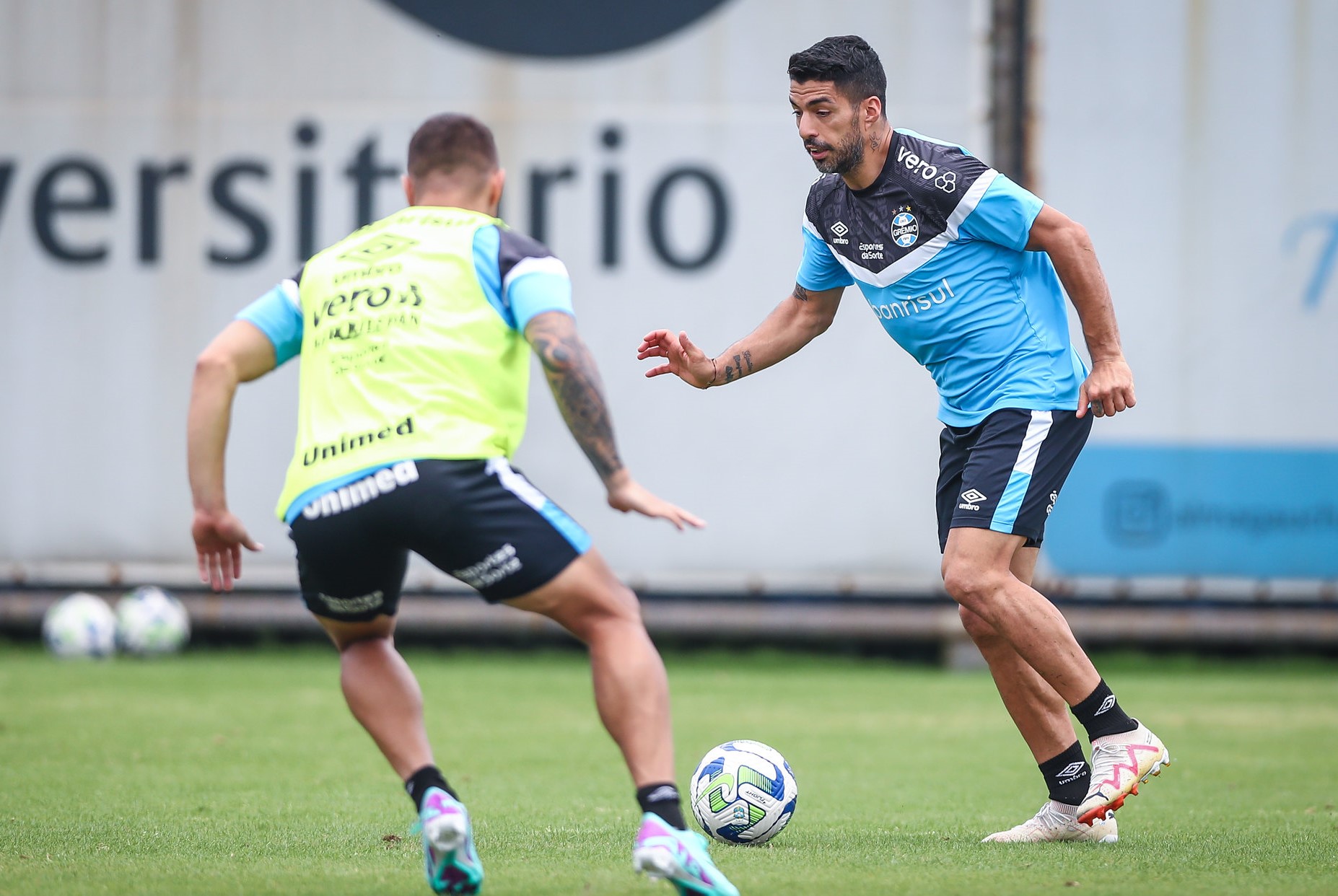 suarez gemio