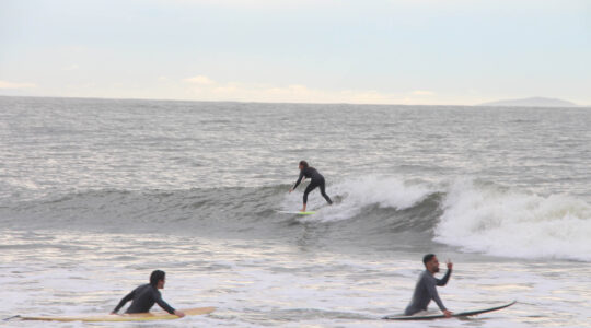 surf matinhos