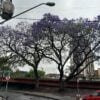 tempo nublado