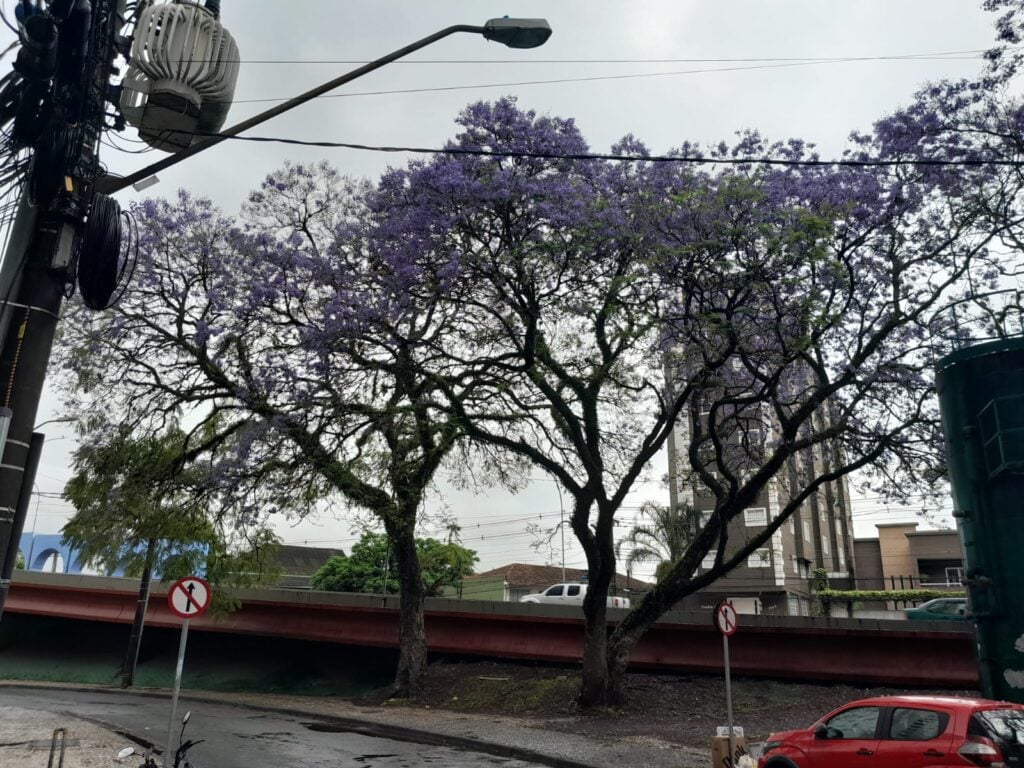 tempo nublado