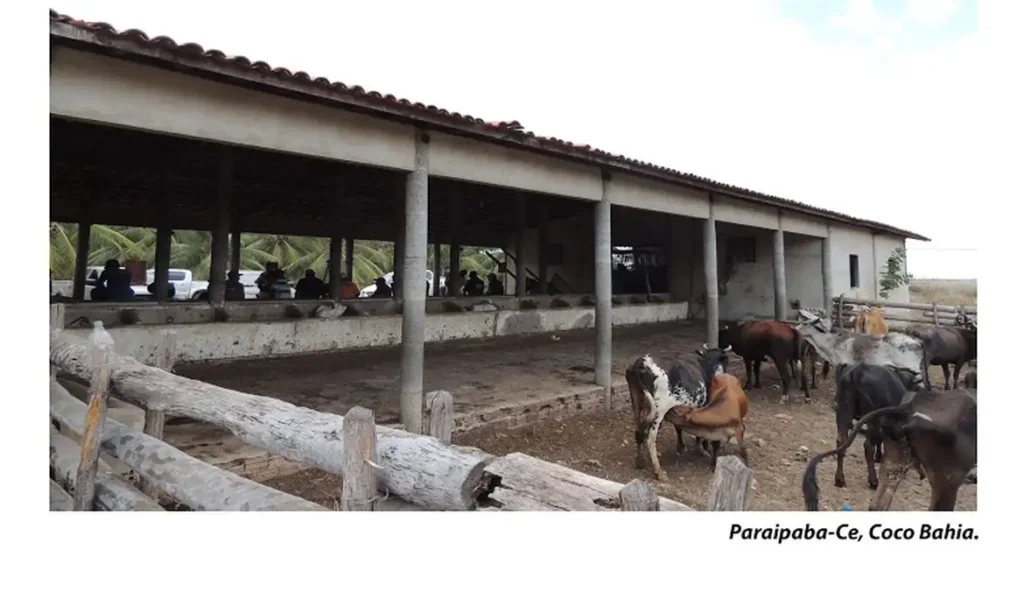 trabalho_escravo_1