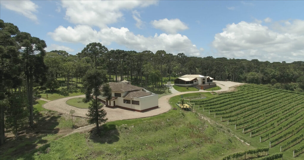 viniculas grande curitiba