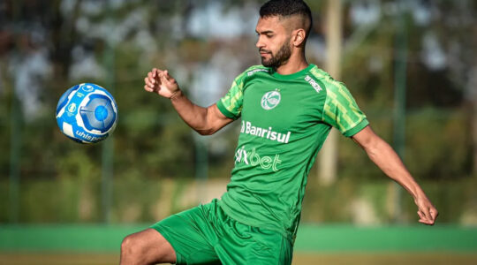 12vini