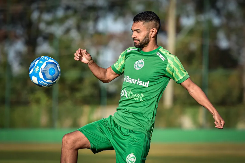 12vini