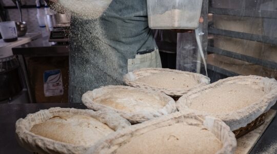 Local Pães