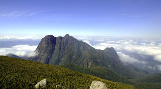 abelhas montanha