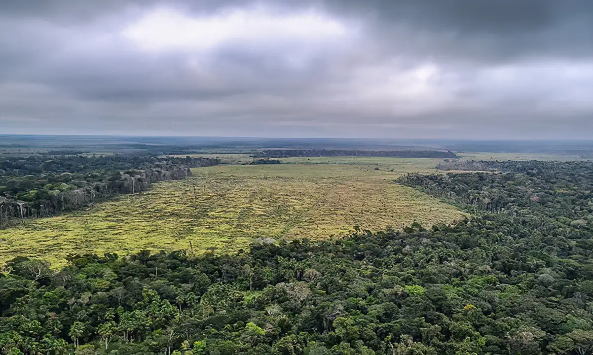 amazonia