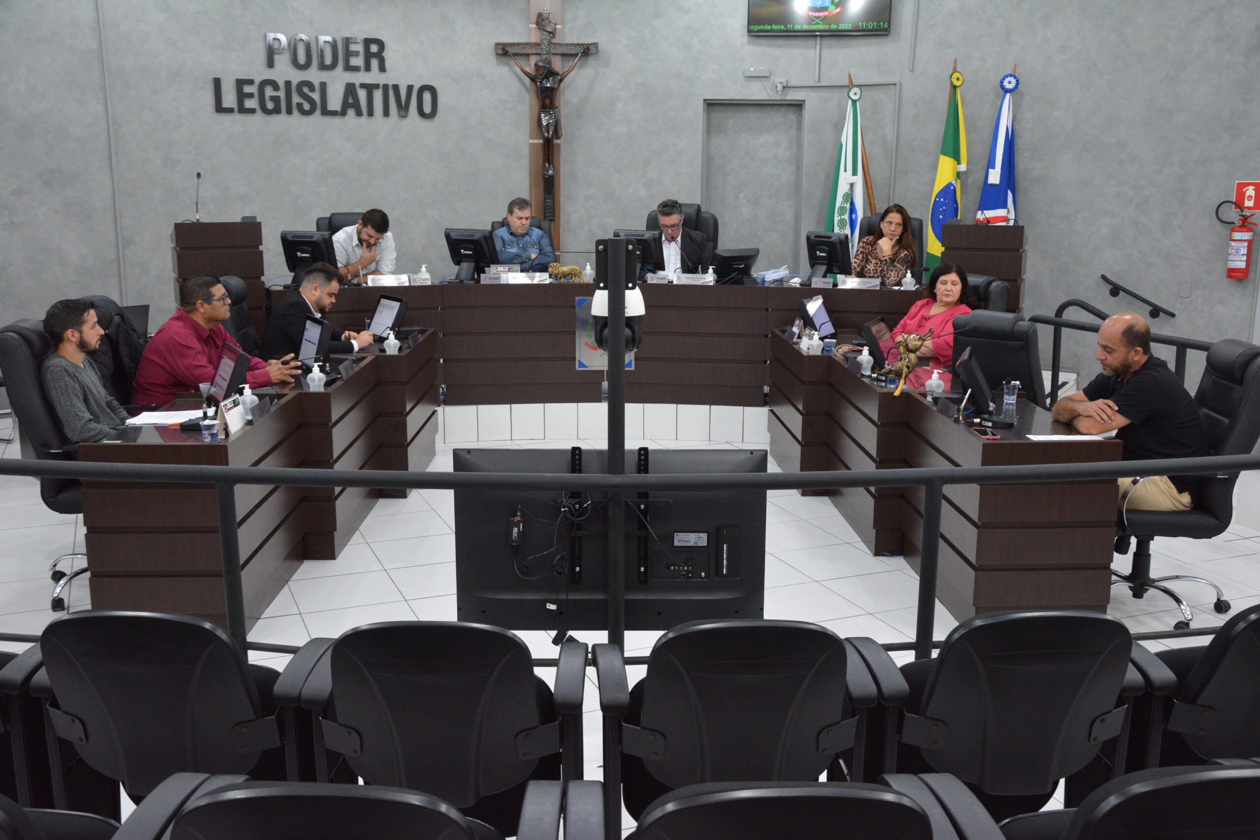 camara cianorte