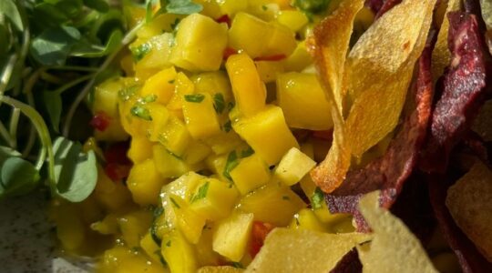 ceviche de manga