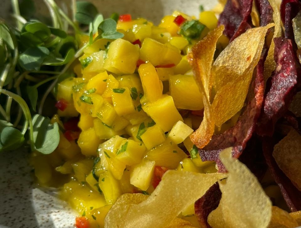 ceviche de manga