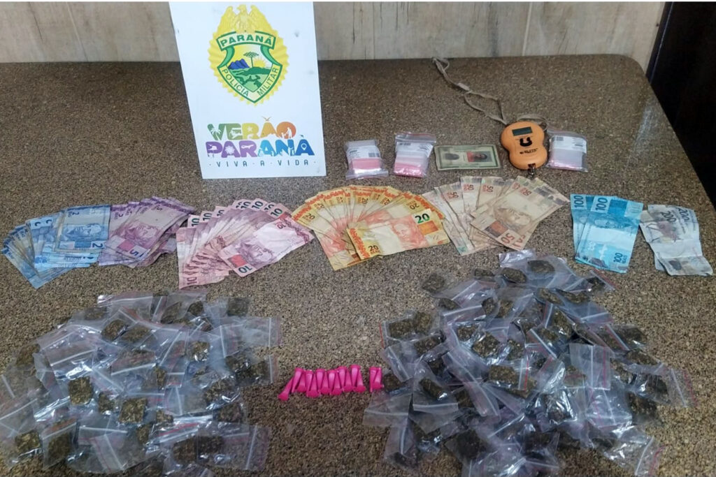 drogas apreensão pontal