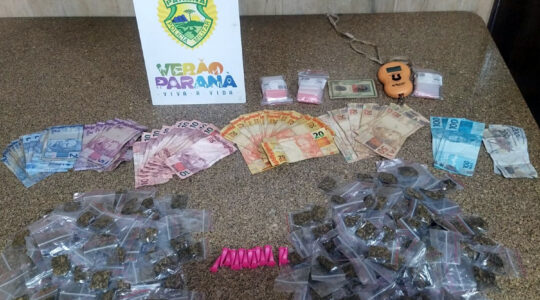drogas apreensão pontal