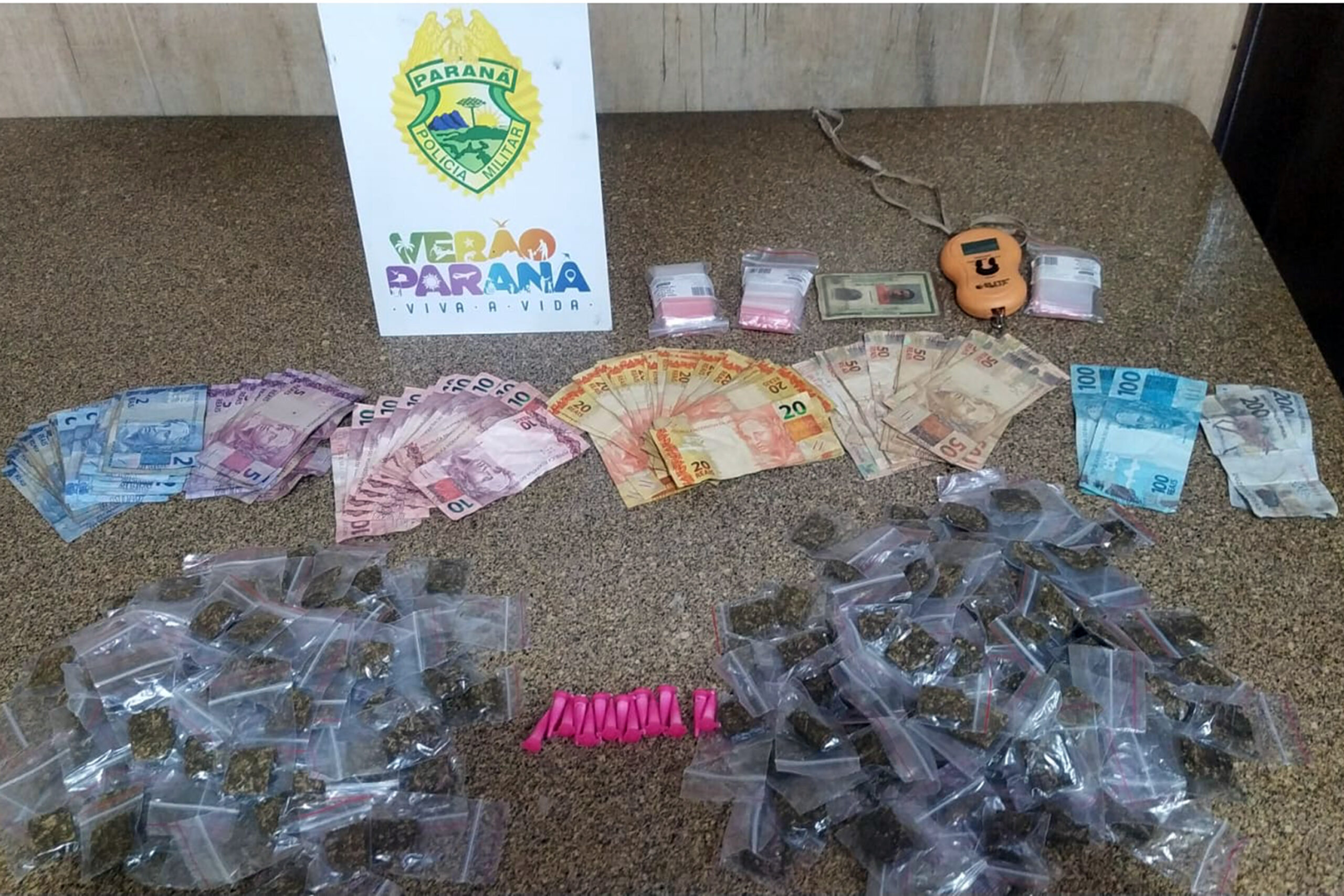 drogas apreensão pontal