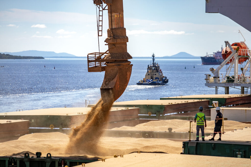 exportação