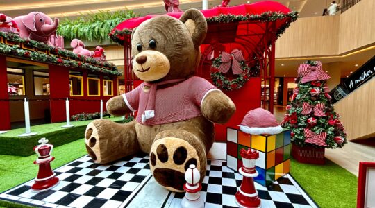 jockey plaza tea