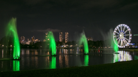 luzes do natal de curitiba