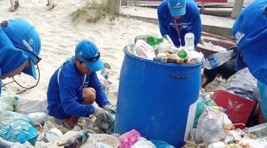 Material recolhido das praias, em limpeza diária